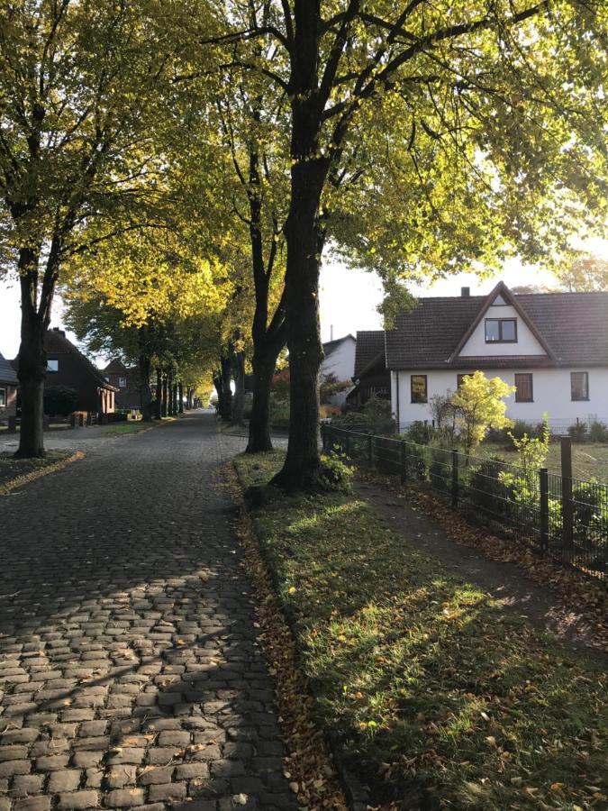 Ferienwohnung Am Holzfeld Schneverdingen Esterno foto
