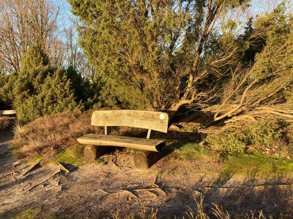 Ferienwohnung Am Holzfeld Schneverdingen Esterno foto